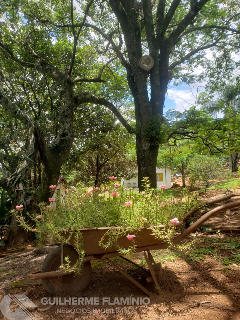 Zona Rural -  São José Do Rio Pardo/SP