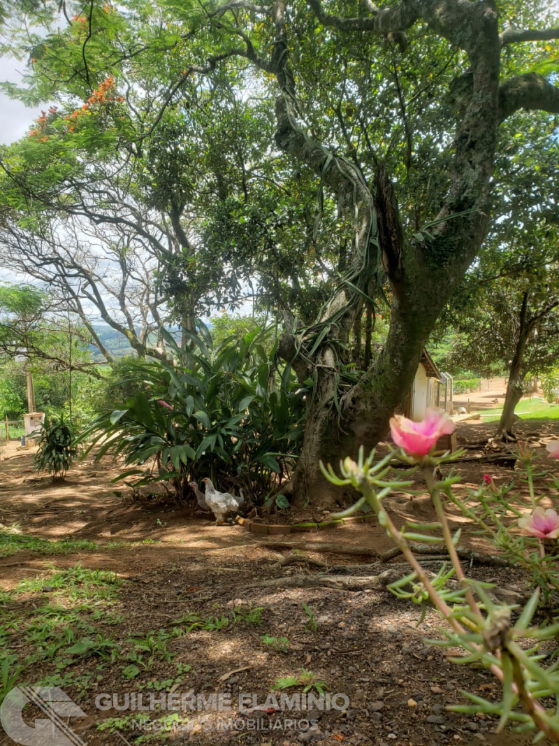 Zona Rural -  São José Do Rio Pardo/SP