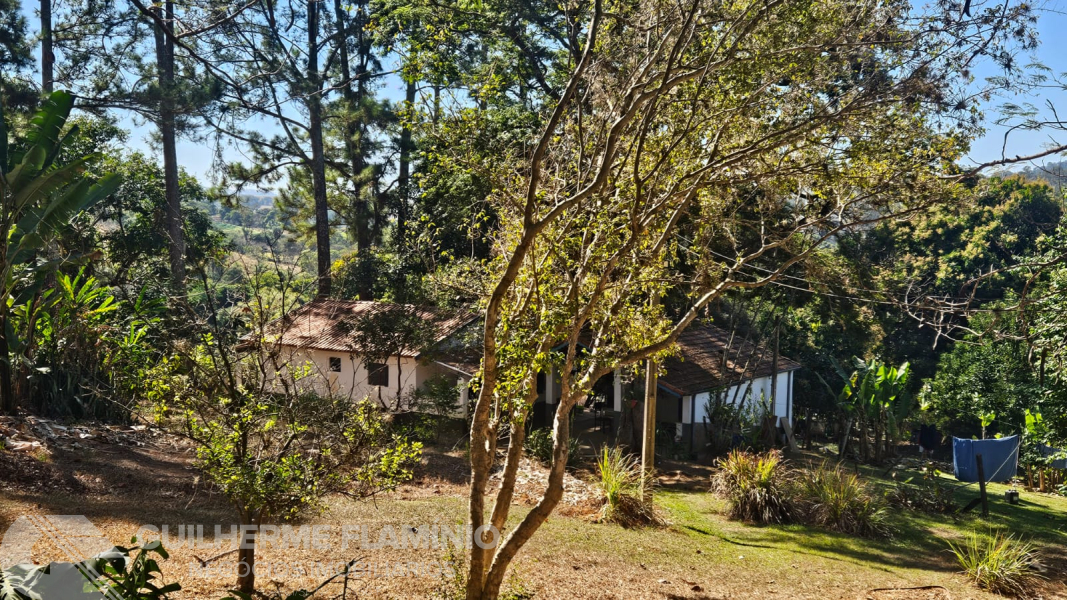  São José Do Rio Pardo/SP